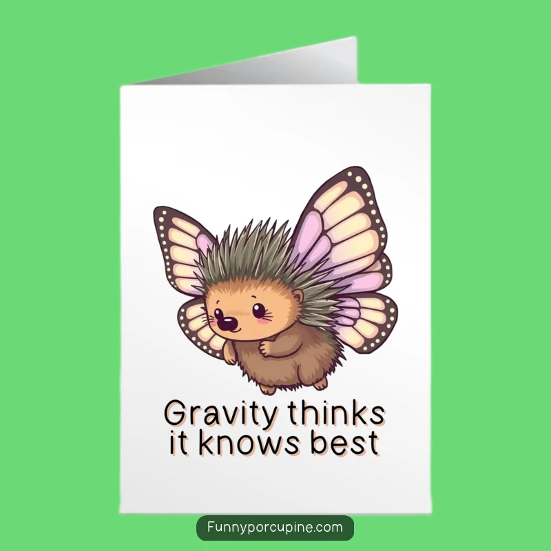 Free Printable Funny Birthday Card: Flying Porcupine Chaos, Perfect DIY Gift!